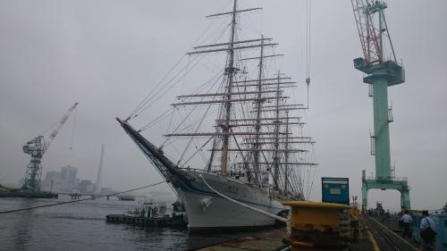 DSC_3240.JPG