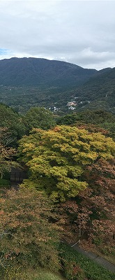 彫刻の森紅葉.jpg