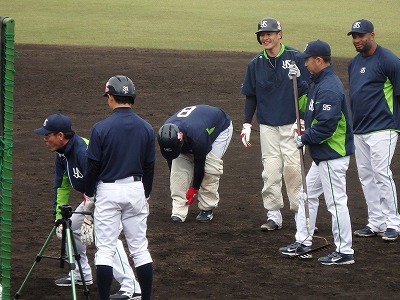 2018スワローズキャンプ内野.jpg