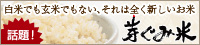 �肮�ݕ�