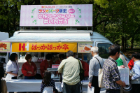 SS13984814940136.jpg