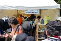 SS13984816383821.jpg