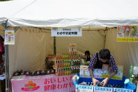 SS13984816906982.jpg