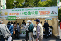 SSS13984813682460.jpg