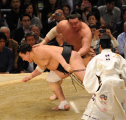 横綱白鵬(31歳)スポーツ人間模様