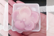 作草部駅でおいしい“桜”が満開!?