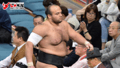 日本の「先輩と後輩」の文化が気に入っています“大砂嵐関” 【ひでたけのやじうま好奇心】