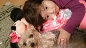 夫婦+愛犬の家庭に赤ちゃんがやってきた!そのとき愛犬は…? 【わん!ダフルストーリー】