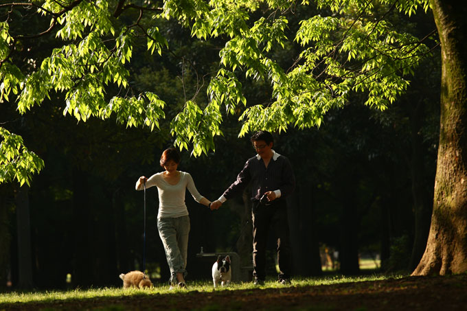 vol.12待っていてくれた「ウリ坊」。愛犬に学んだ人生の極意とは…1