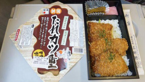 新津駅「たれカツ重」(900円)~越後線で行く珍しい「川の立体交差」 【ライター望月の駅弁膝栗毛】