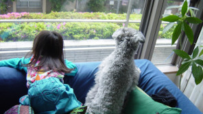 局アナ生活28年。支えてくれた愛犬に「ありがとう!」【わん!ダフルストーリー】
