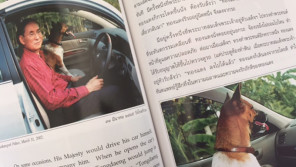 保護犬とともに歩んだ、タイの王様の犬人生〈前編〉【ペットと一緒に vol.1】