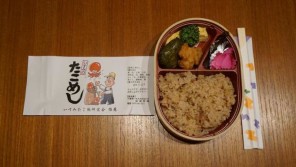 国吉駅「いすみのたこめし」(800円)~平成の世に夢の再現!国鉄形気動車と駅弁の立売り【ライター望月の駅弁膝栗毛】