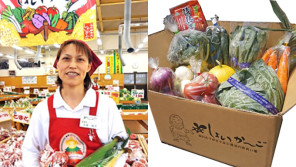 しょいか~ご初売り!食育ソムリエが厳選した旬の野菜BOXがオススメ【ハロー千葉】