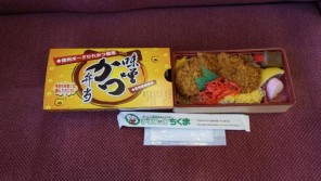 長野駅「味噌かつ弁当」(1,000円)~まだまだ頑張る国鉄形189系!【ライター望月の駅弁膝栗毛】