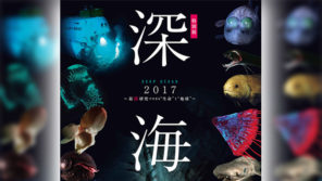 深く深くせまる生命と地球の秘密【本仮屋ユイカ 笑顔のココロエ】