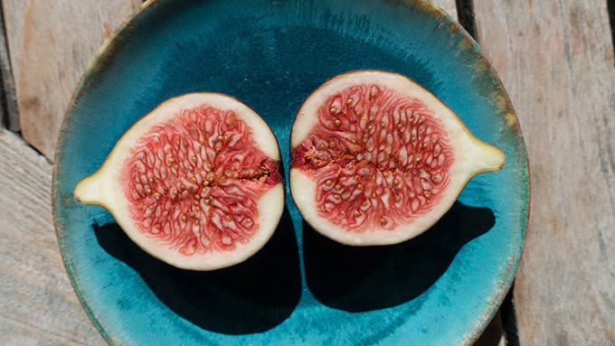 花の無い果物「無花果」って読めますか?