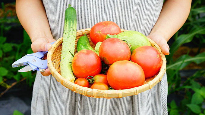 やってみたい! 家庭菜園を面白くするコツ