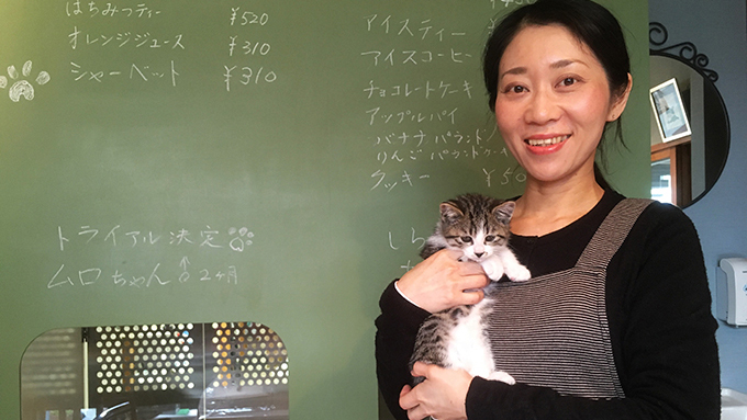 ネコ捨て山から犬猫を助けていた少女が、保護猫カフェを開くまでのヒストリー