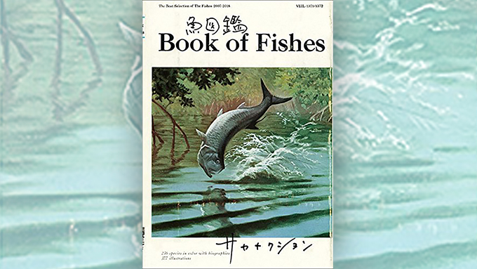 サカナクションの『魚図鑑』がアルバムランキングNo.1!