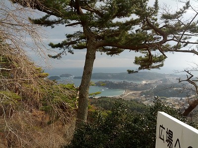 IMG_20130202_135602.jpg