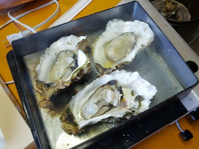 IMG_20130203_083554.jpg
