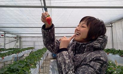 イチゴ0121.JPG