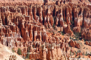ph14utbc017amazingphoto-us-150596
