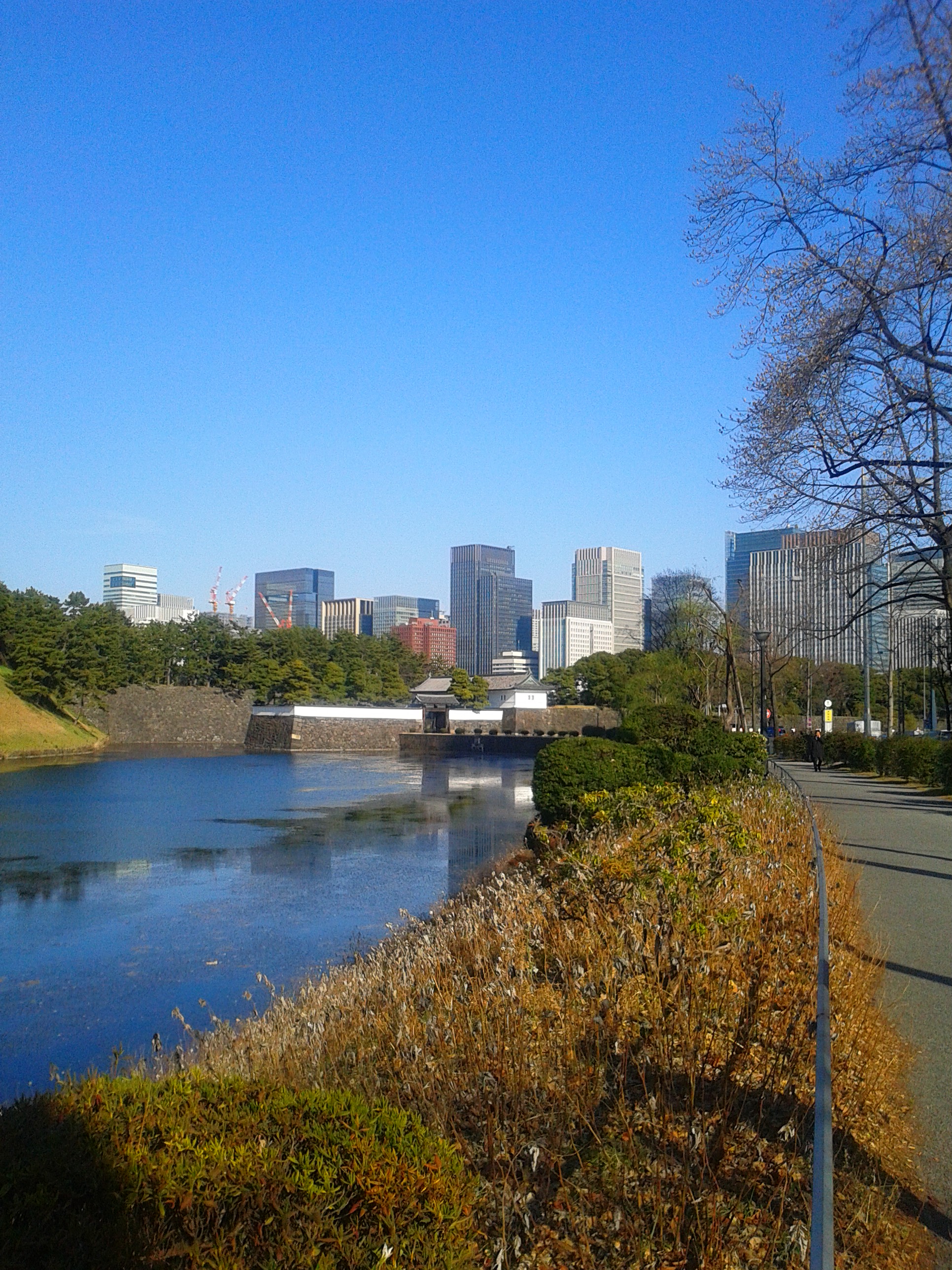 ある晴れた日の『桜田門』（走ったわけではありません）