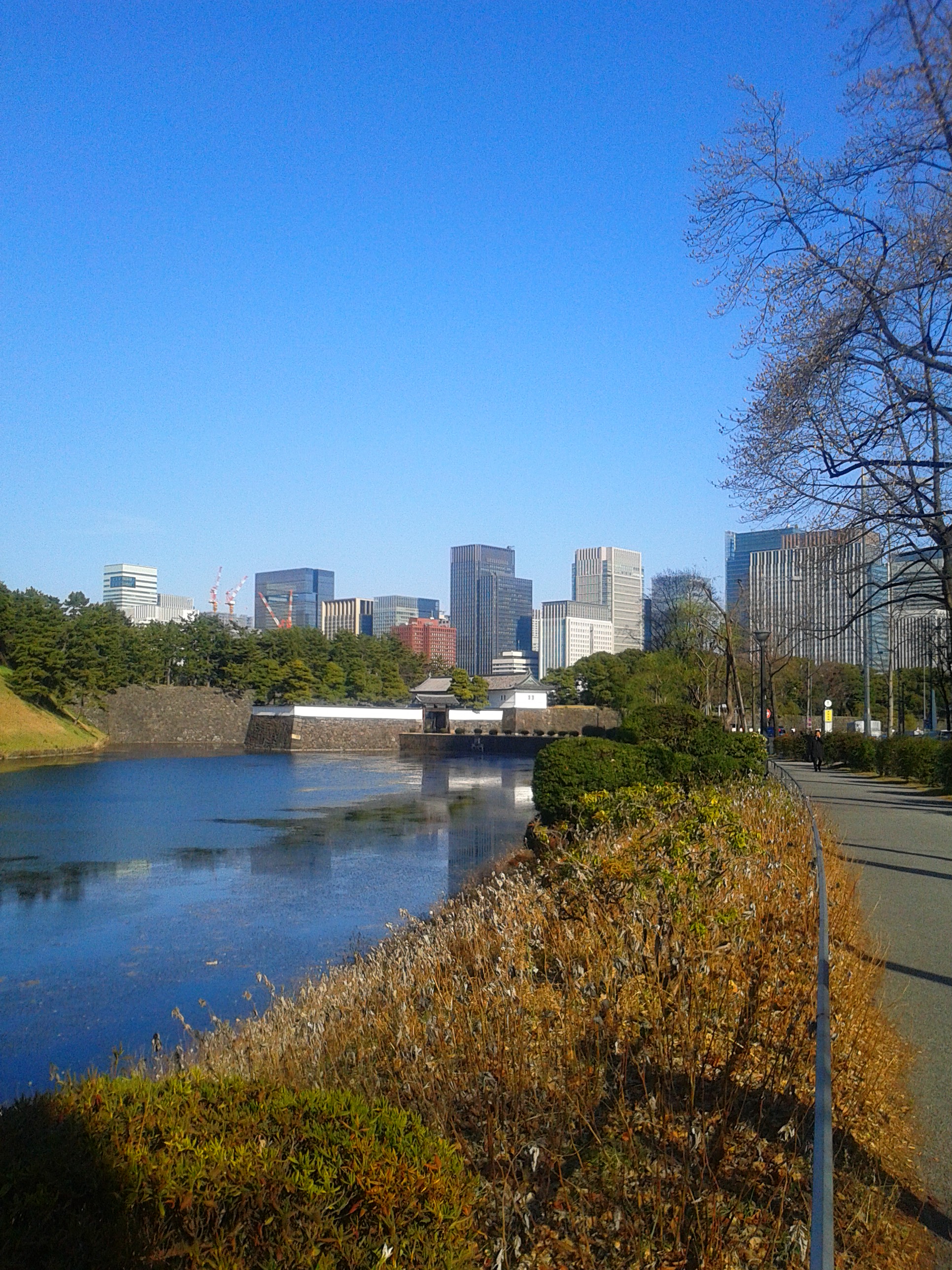 ある晴れた日の『桜田門』(走ったわけではありません)
