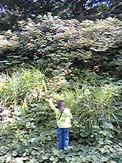 110906_085051.jpg