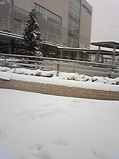 120229_132231.jpg