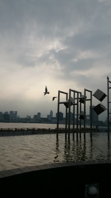 s-DSC_000048.jpg