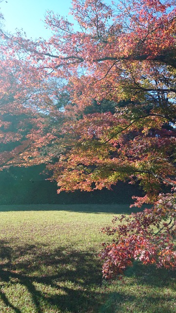 DSC_0188.jpg