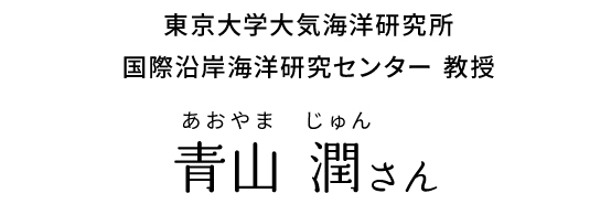 東京大学大気海洋研究所　国際沿岸海洋研究センター　教授 青山 潤さん