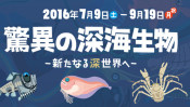 姿・形・その形態も不思議で魅力いっぱい!深海生物が千葉に大集合【ハロー千葉】
