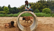 犬のおかげで新しい自分に出会えた! お金では買えない豊かな時間を満喫中♪ 【わん!ダフルストーリー】