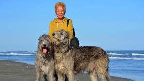 60歳女性と究極の大型犬『アイリッシュ・ウルフハウンド』の暮らしとは 【わん!ダフルストーリー】