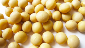 知ってる?豆乳のすごい栄養分の数々!【鈴木杏樹のいってらっしゃい】
