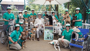 大木トオル・ブルース魂の“ライフワーク”~殺処分ゼロを目指し飼い主を失った犬たちにセラピードッグとしての訓練を施し39年!「あけの語りびと」(朗読公開)