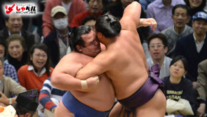 子どもが物心つくまでは現役で!大相撲関脇・琴奨菊和弘(33歳)スポーツ人間模様