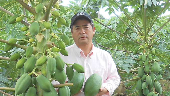 「日本でパパイヤの食文化を創る」10年の研究を経て露地栽培を開発した男性の物語【10時のグッとストーリー】