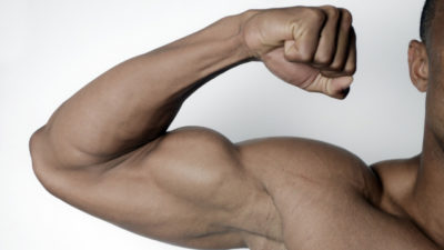 WANIMAからも素敵な「フリ」。本日もきんにくぼらけ