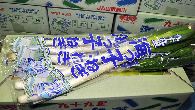 災害をきっかけに海水でネギを育てて名物にした千葉の生産農家のストーリー