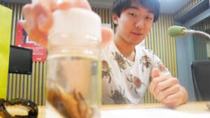 美味しい昆虫ベスト３を発表！１位はまさかのあの虫！