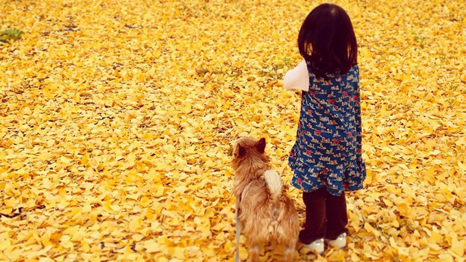 勝気なテリアと仲良く過ごせる!? ママも奮闘。2頭の犬と子どもの6年間のストーリー