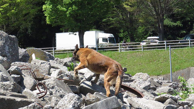 災害救助犬になった愛犬と、東京から山梨へ移住。愛犬と一緒に“働く”喜び