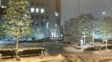 大雪でしたね