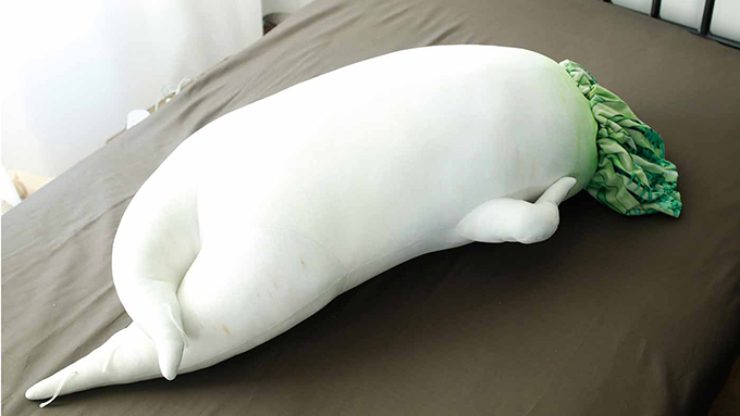 ユーモアあふれる抱き枕「セクシー大根抱き枕」って知っていますか?