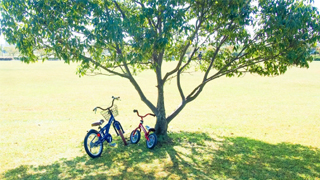 今週のテーマ“公園”